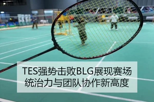 TES强势击败BLG展现赛场统治力与团队协作新高度