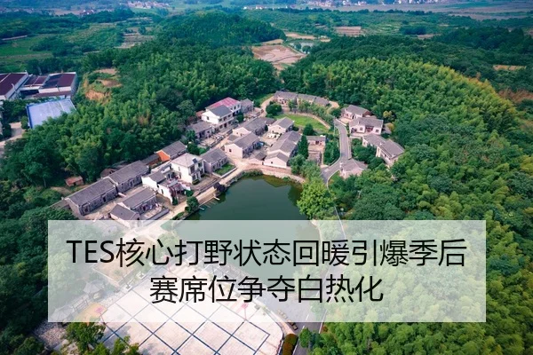 TES核心打野状态回暖引爆季后赛席位争夺白热化
