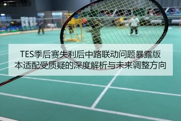 TES季后赛失利后中路联动问题暴露版本适配受质疑的深度解析与未来调整方向