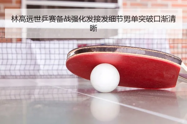 林高远世乒赛备战强化发接发细节男单突破口渐清晰